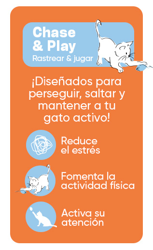 Tootoy Chase & Play